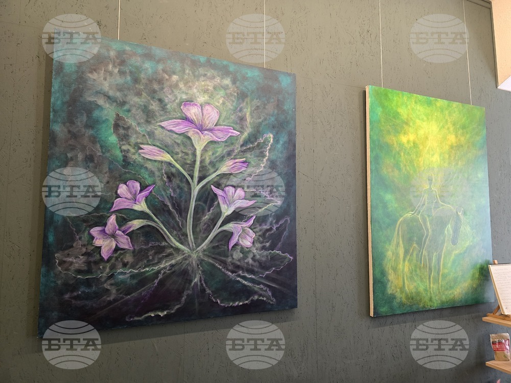 Пловдив - Ангел Каравланов - изложба