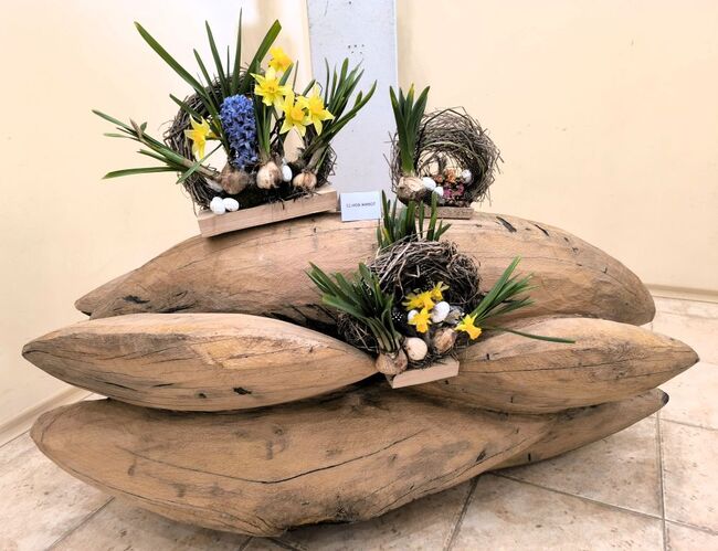 Община Каварна: Живопис и флористика в изложбата „Ние, цветята“ на Мила Василева и Елена Георгиева