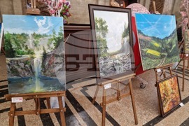 Перник - изложба - „Пълно вътрешно отражение“