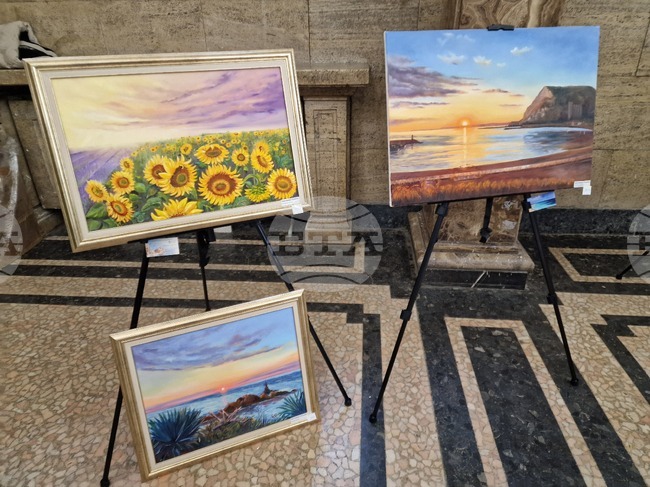 Перник - изложба - „Пълно вътрешно отражение“