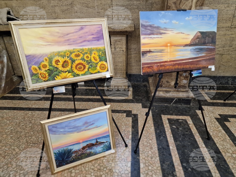 Перник - изложба - „Пълно вътрешно отражение“