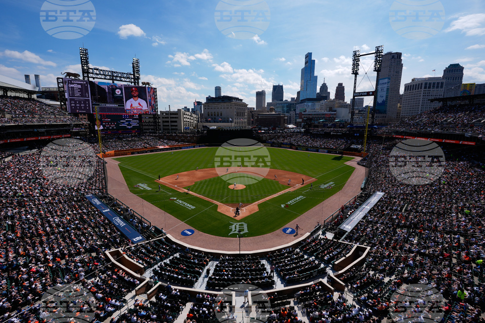 Cardinals Tigers Baseball