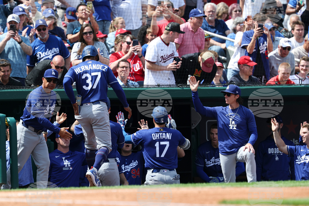 Dodgers Nationals Baseball