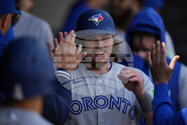 Blue Jays White Sox Baseball