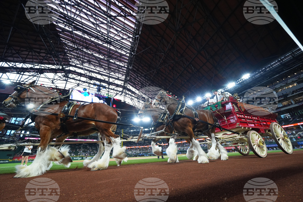 Reds Rangers Baseball