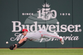Reds Rangers Baseball