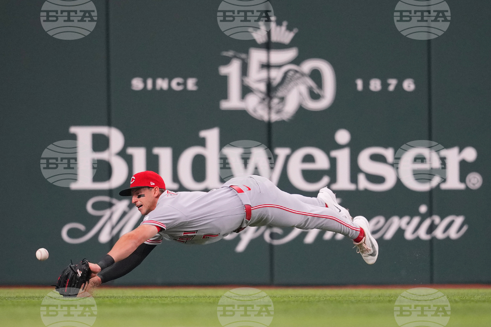 Reds Rangers Baseball