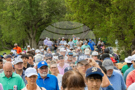 Texas Open Golf