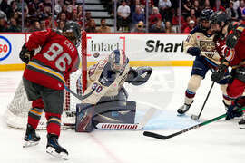 PWHL Victoire Charge Hockey