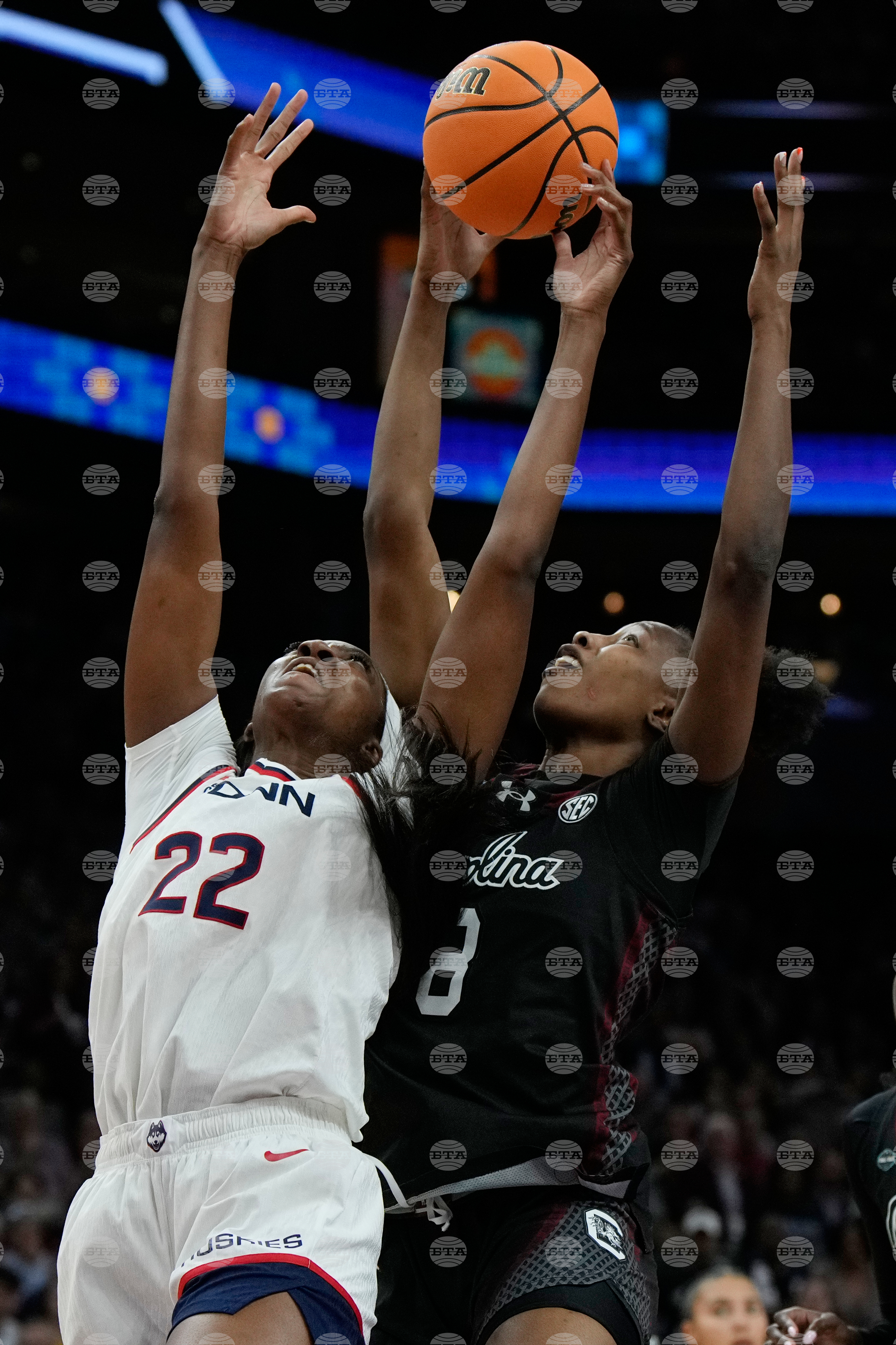 NCAA South Carolina UConn Basketball