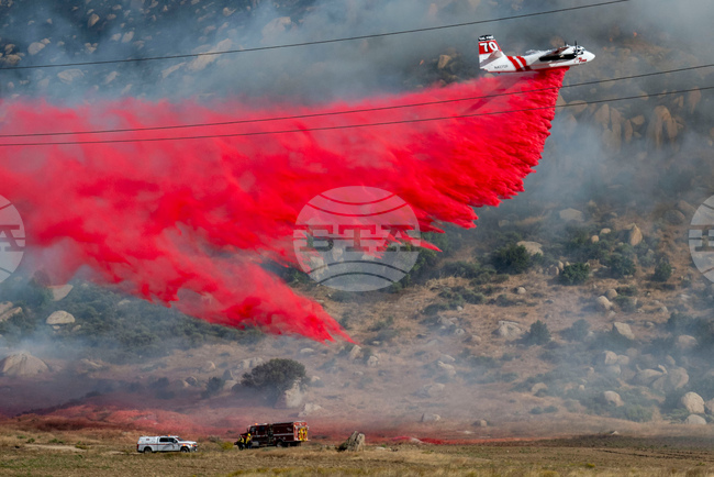Горски пожари в американските щати Джорджия и Флорида унищожиха близо 50 къщи и наложиха евакуации 
