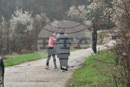 Царева ливада - Трявна - железопътен инцидент