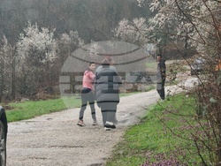 Царева ливада - Трявна - железопътен инцидент