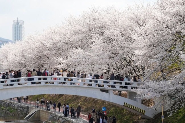 South Korea Daily Life