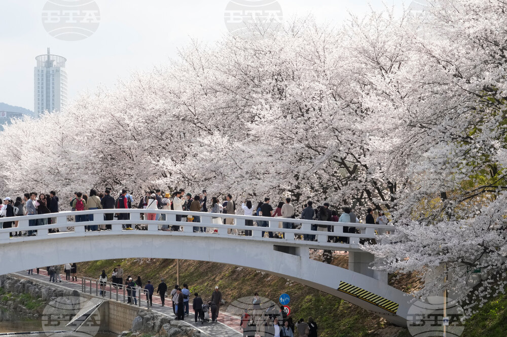 South Korea Daily Life
