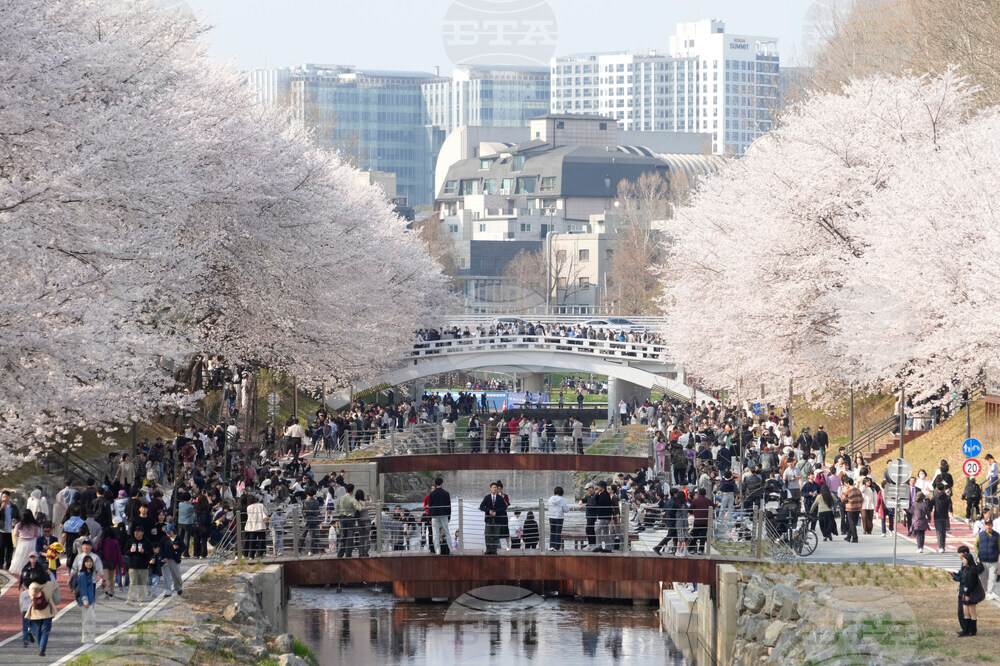 South Korea Daily Life