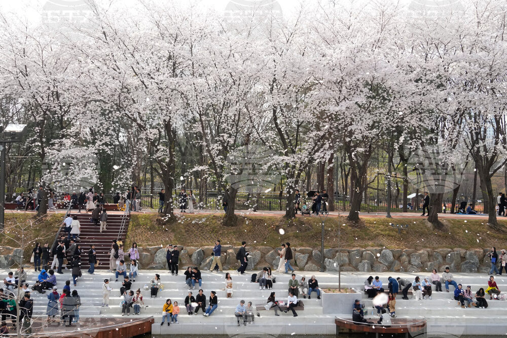 South Korea Daily Life