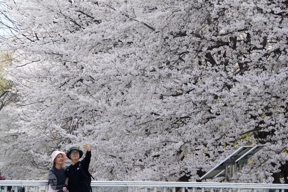 South Korea Daily Life