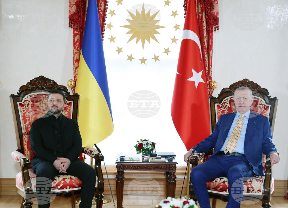 Ердоган се срещна със Зеленски в двореца "Долмабахче" в Истанбул