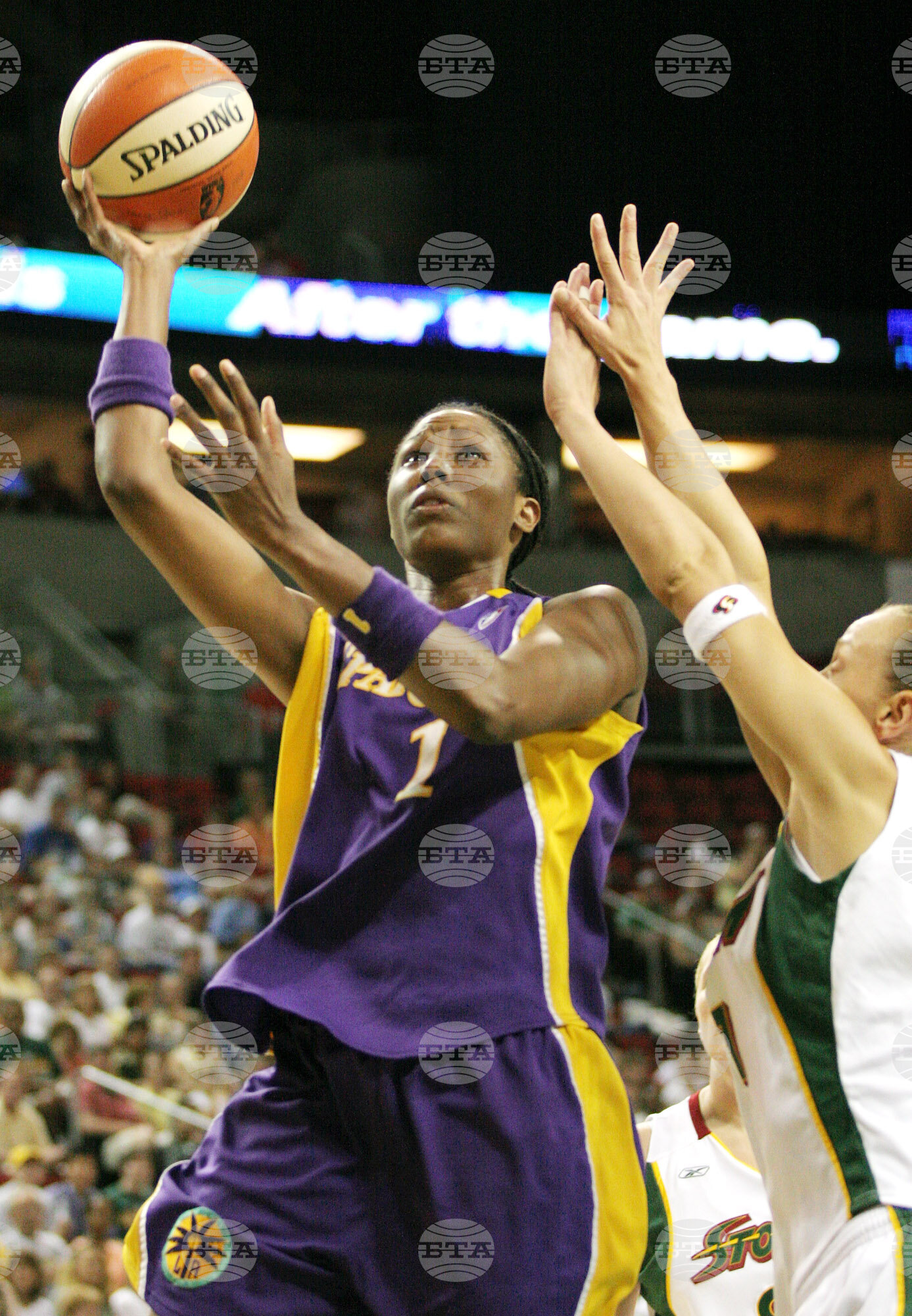 Hall of Fame Basketball