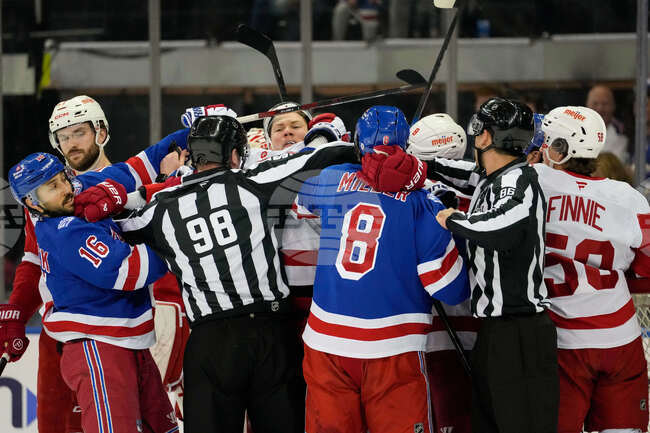 Red Wings Rangers Hockey