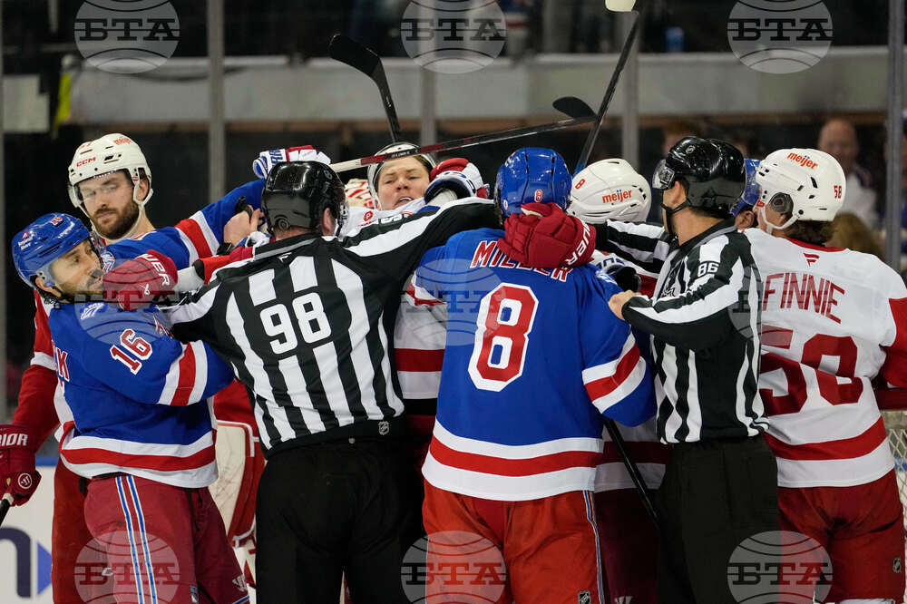 Red Wings Rangers Hockey