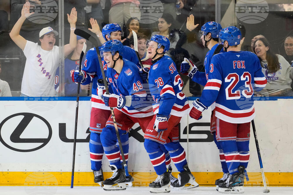 Red Wings Rangers Hockey