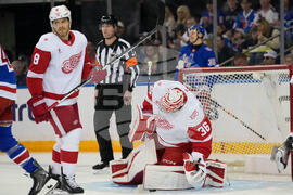 Red Wings Rangers Hockey