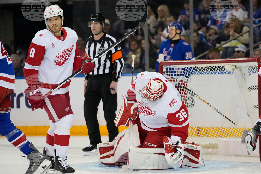 Red Wings Rangers Hockey