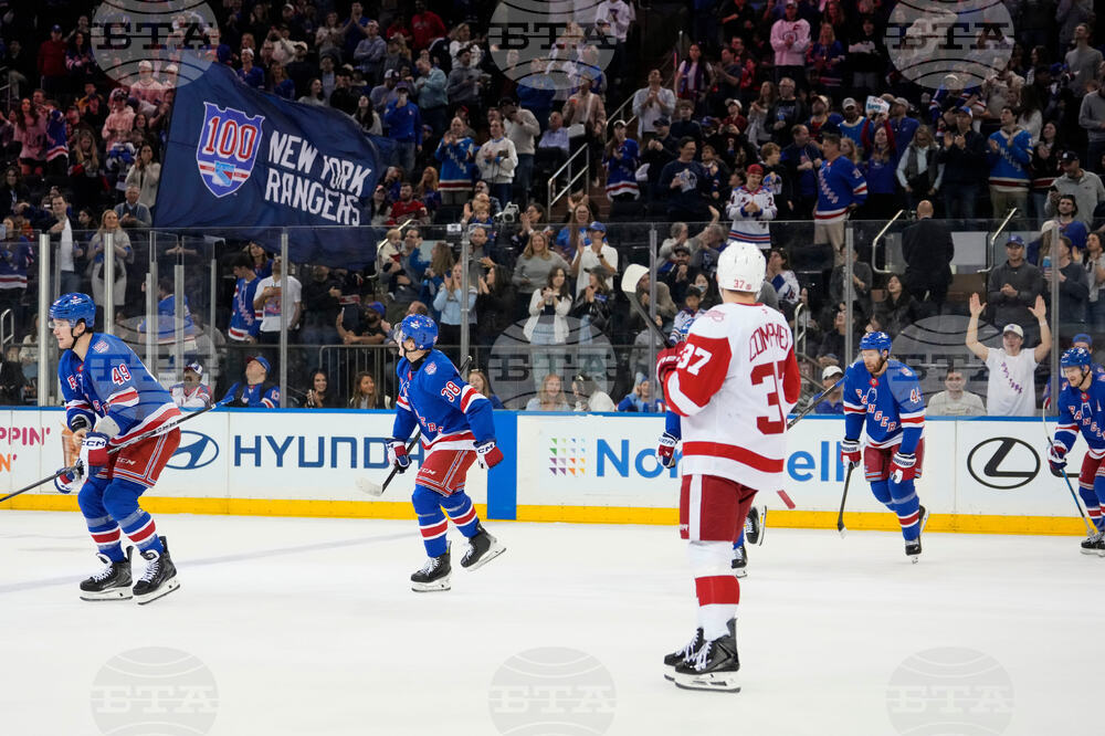 Red Wings Rangers Hockey