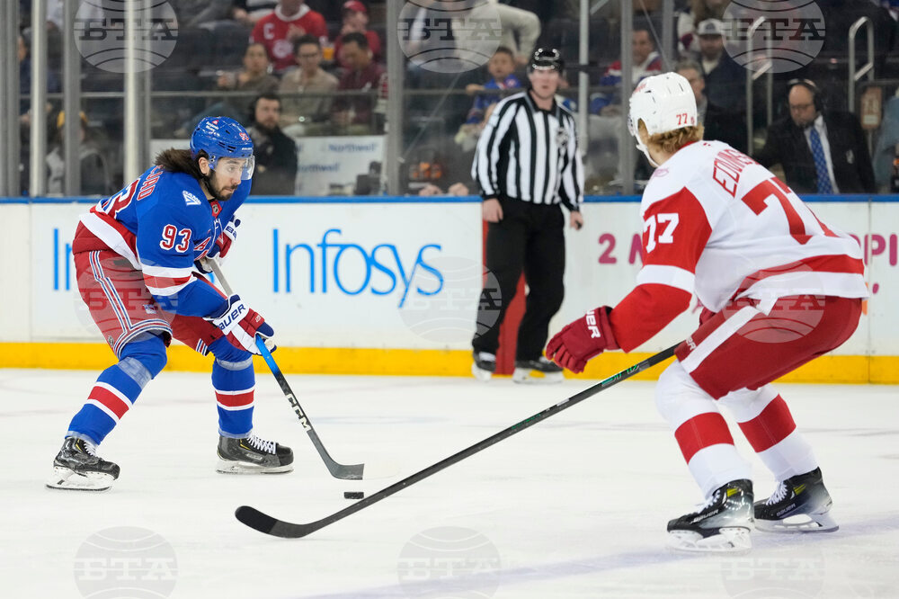 Red Wings Rangers Hockey