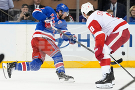 Red Wings Rangers Hockey