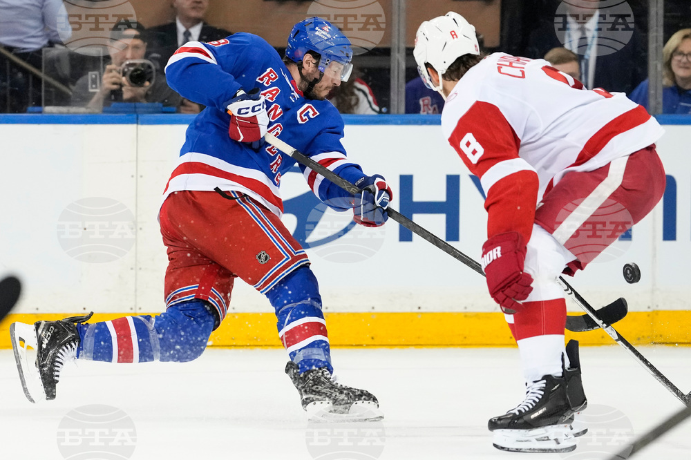 Red Wings Rangers Hockey