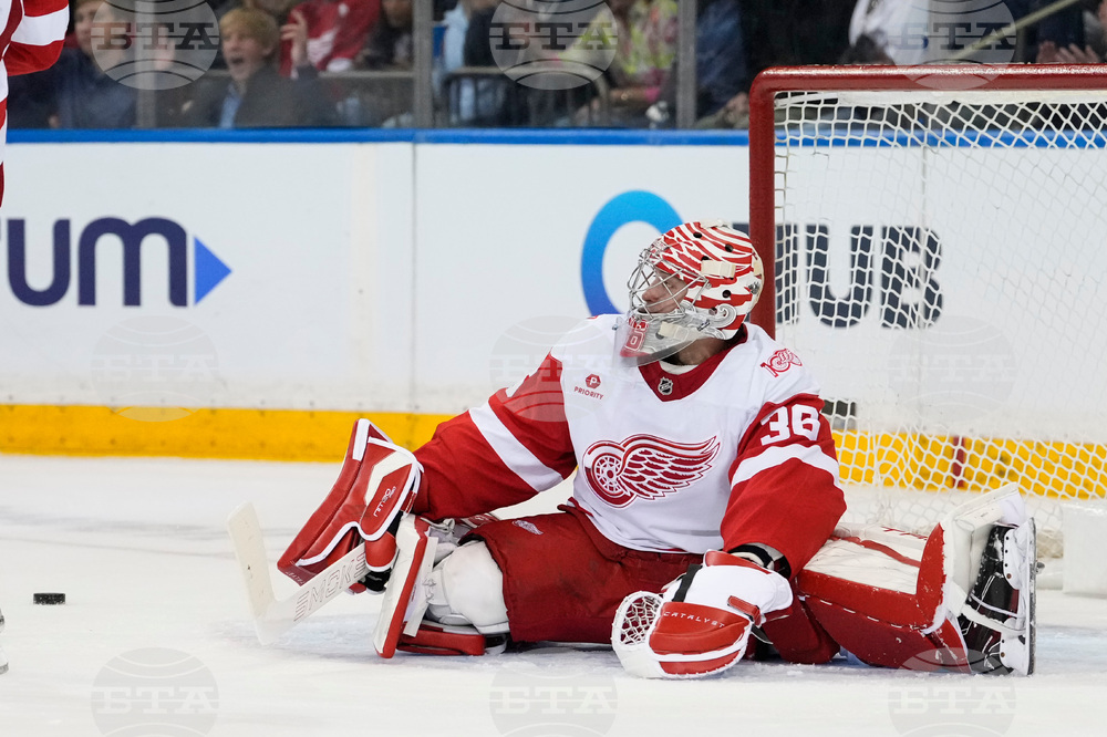 Red Wings Rangers Hockey