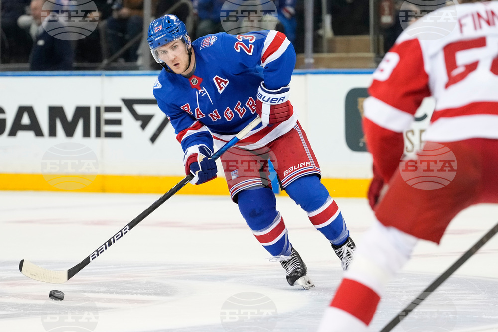 Red Wings Rangers Hockey