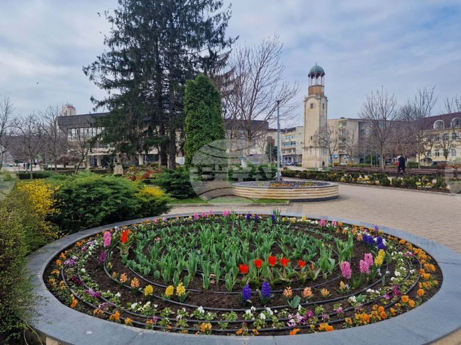 Какви прояви имаха днес кандидатите за народни представители в 18 МИР – Разград