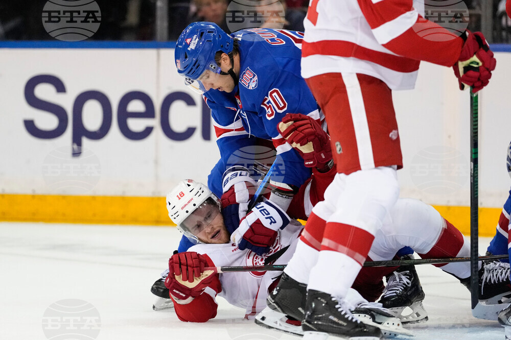 Red Wings Rangers Hockey