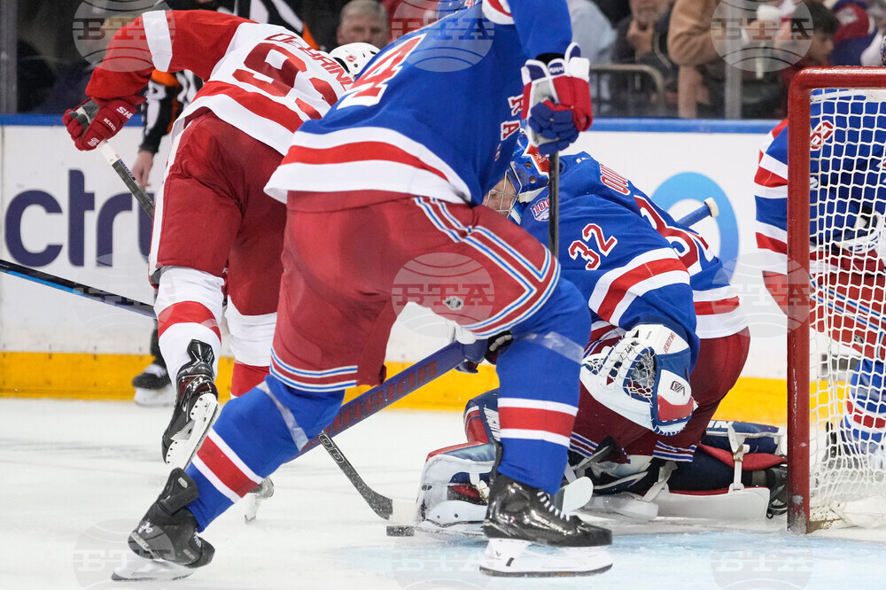 Red Wings Rangers Hockey