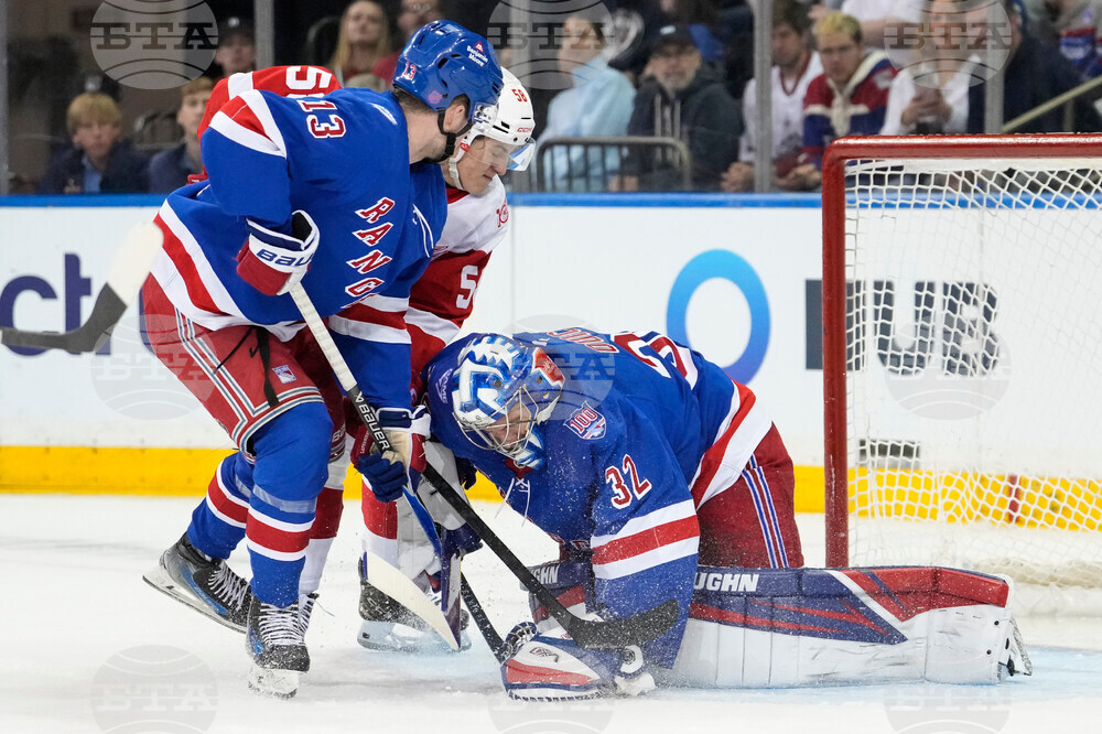 Red Wings Rangers Hockey