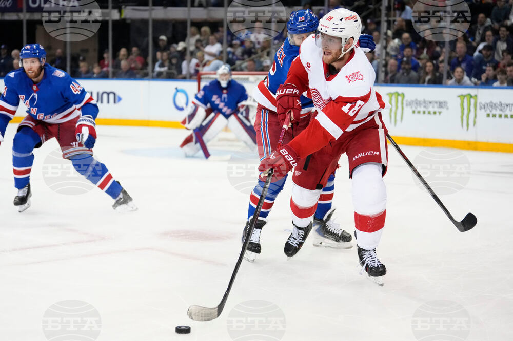 Red Wings Rangers Hockey