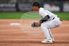 Blue Jays White Sox Baseball