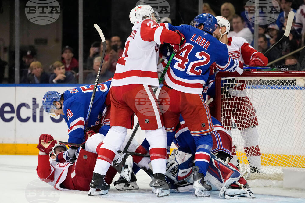 Red Wings Rangers Hockey
