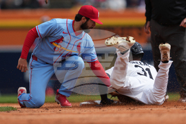 Cardinals Tigers Baseball