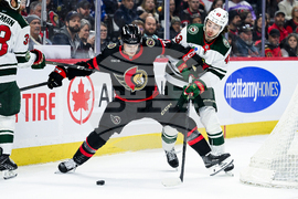 Wild Senators Hockey