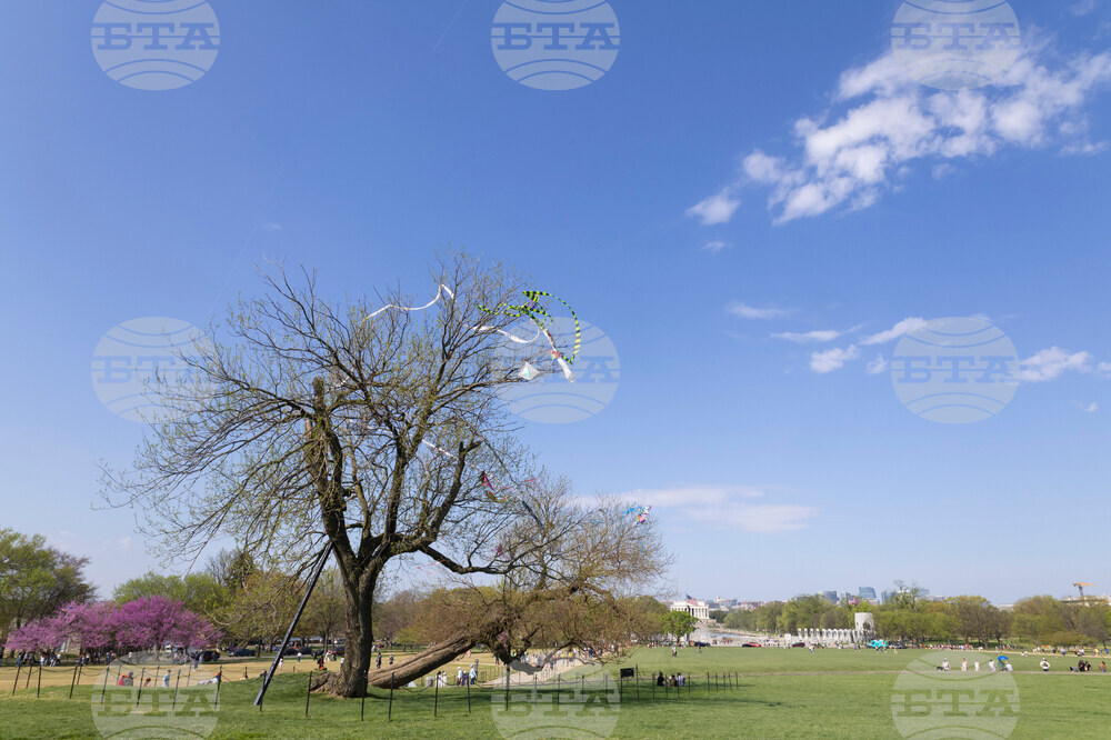 Washington Daily Life