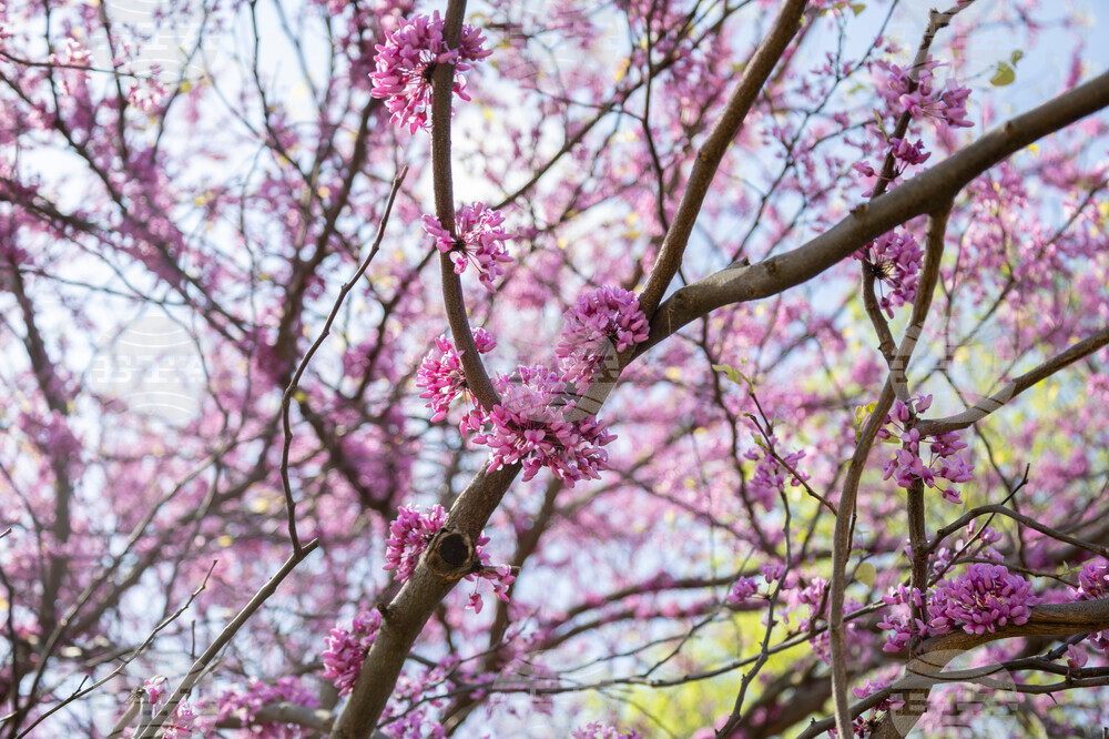 Washington Daily Life