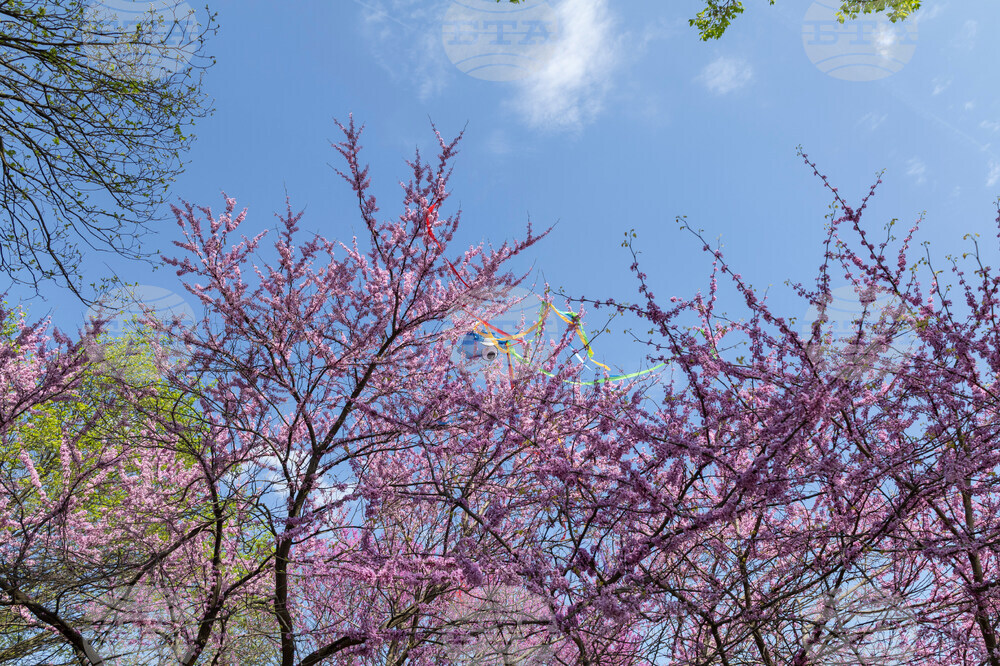 Washington Daily Life