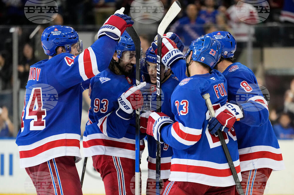 Red Wings Rangers Hockey