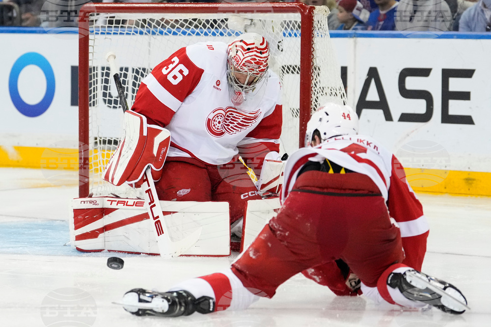 Red Wings Rangers Hockey