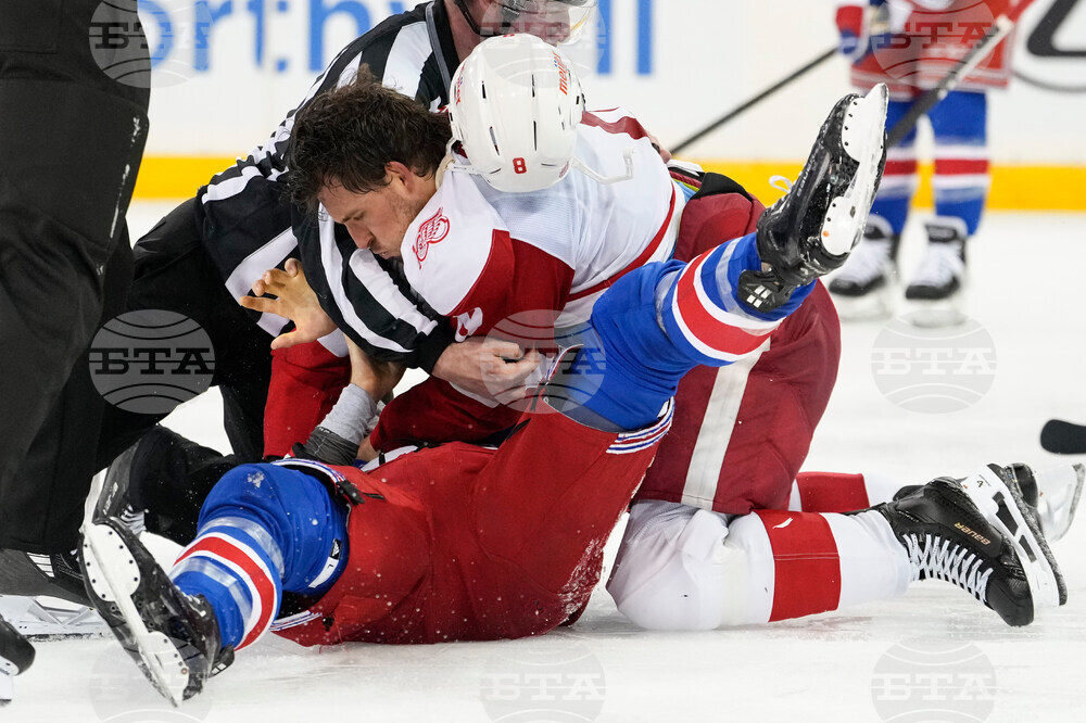 Red Wings Rangers Hockey